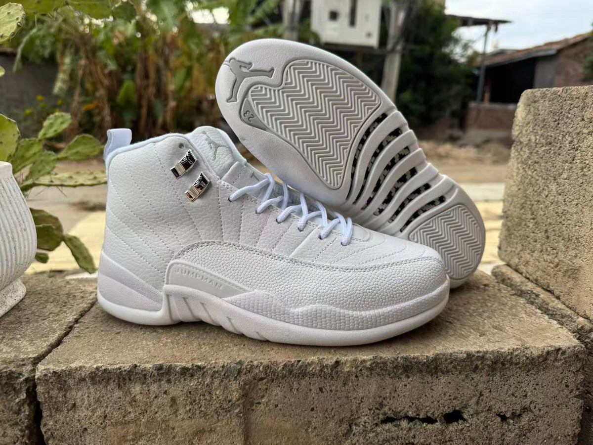 Air Jordan 12 Retro Summit White & Metallic Silver Sneakers